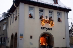 Bild8