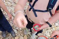 IMG-20220627-WA0003