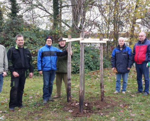 Baumpflanzung 2016