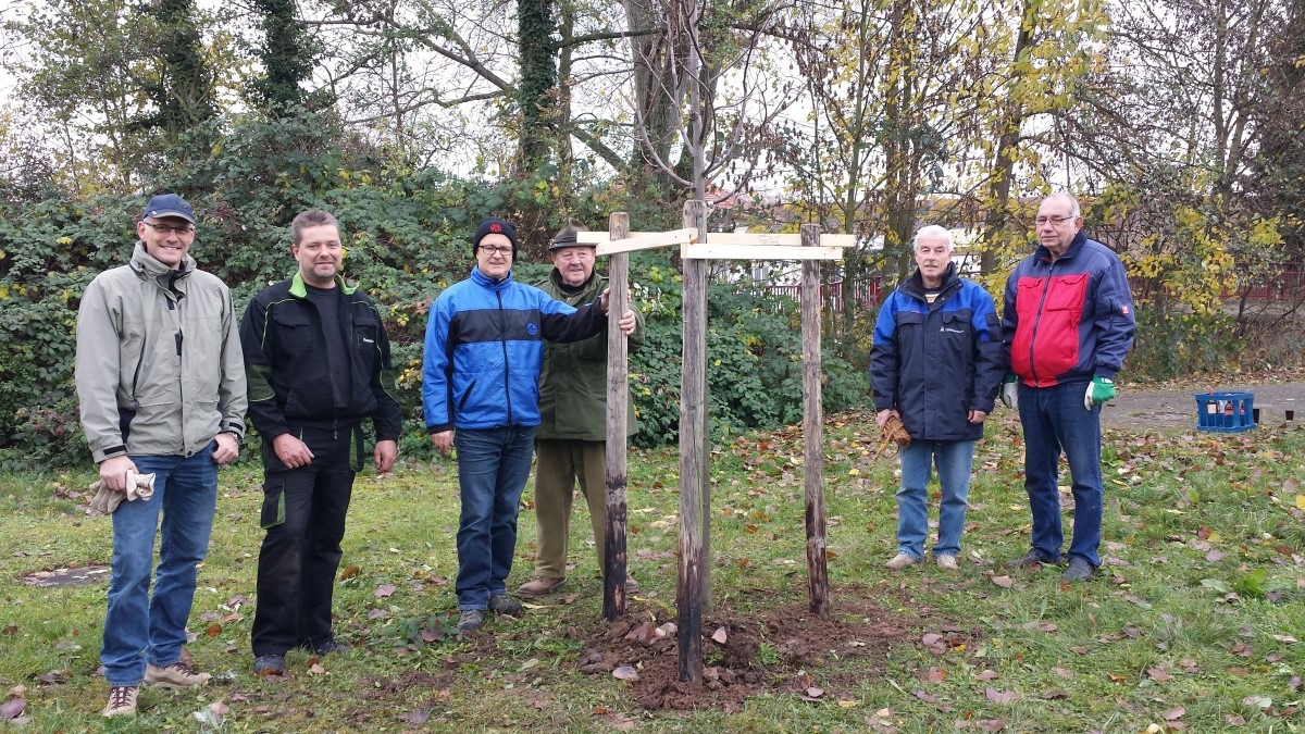 Baumpflanzung 2016