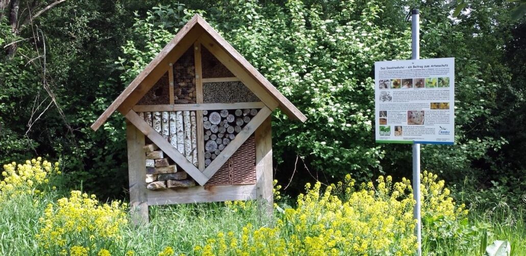 Naturfreunde bieten Einblick in einen Bienenstock